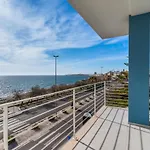 Suite Buena Vista